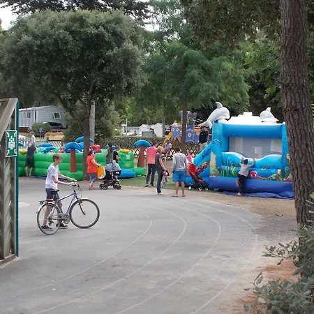 Mobil Noss Kamp alanı